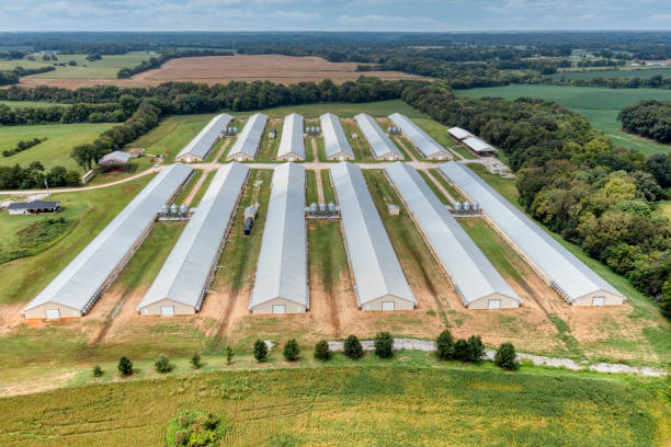 Home aerial view of poultry houses and farm in tennessee.